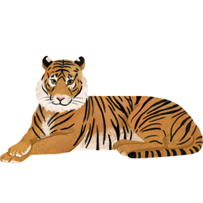 Illustration of Bengal tiger