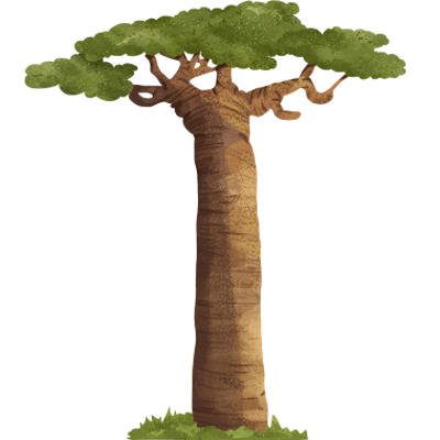 Illustration of Baobab trees