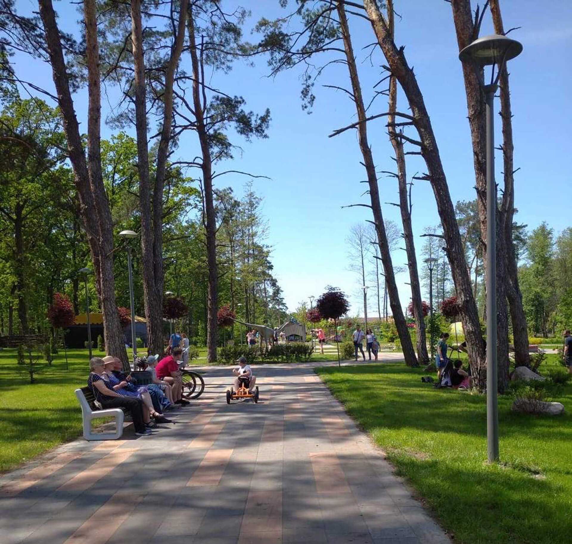 Families sitting in a green park with tall trees on a sunny day