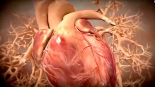 What are heart failure, heart attack and cardiac arrest?