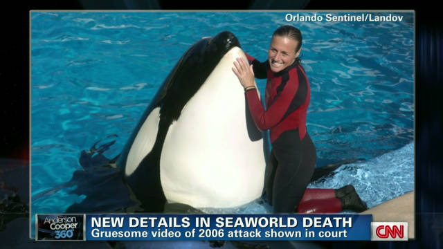 SeaWorld trainers: Working with killer whales is a calculated risk - CNN