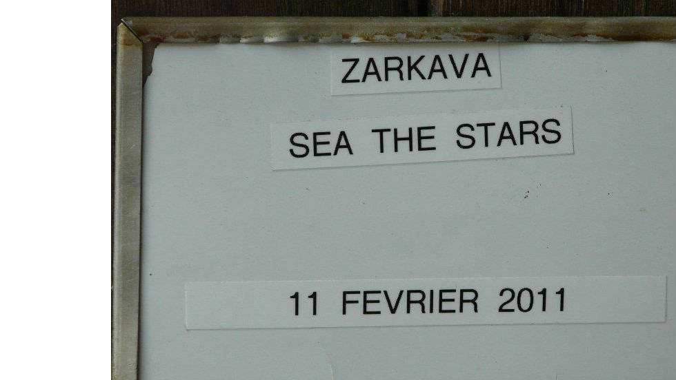 The foal&#39;s rich stock is displayed on this sign outside of his stable, confirming the date of his highly-anticipated birth.