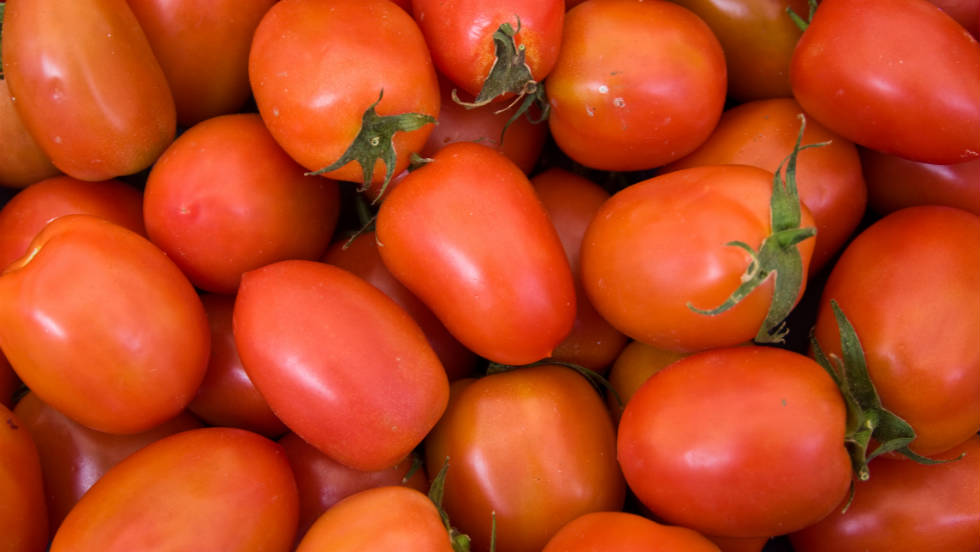 Pre-sliced Roma tomatoes purchased at deli counters in &lt;a href=&quot;http://www.forbes.com/free_forbes/2006/1127/173.html&quot; target=&quot;_blank&quot;&gt;Sheetz gas stations&lt;/a&gt; infected &lt;a href=&quot;http://www.cdc.gov/mmwr/preview/mmwrhtml/mm5413a1.htm&quot; target=&quot;_blank&quot;&gt;more than 400 people&lt;/a&gt; in the summer of 2004. Two other smaller outbreaks in the United States and Canada also occurred that summer and were linked back to a tomato-packing house in Florida. 