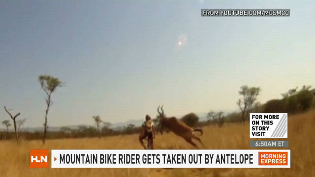 Antelope-like animal slams biker - CNN Video