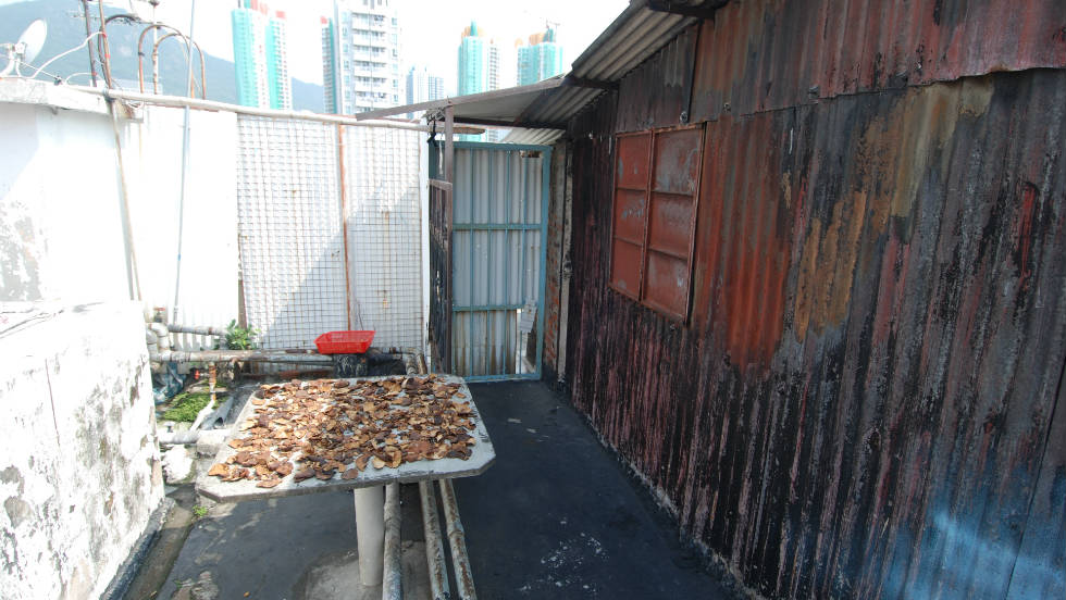 Mushrooms are spread out to dry at this rooftop settlement in Sham Shui Po, Hong Kong.