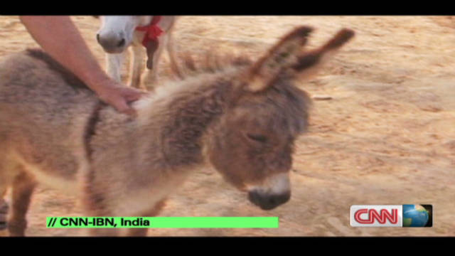 A new home for tired donkeys - CNN Video