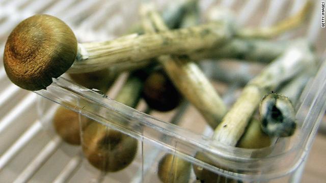 Magic mushrooms won&#39;t get you arrested, at least not for a day or two. 