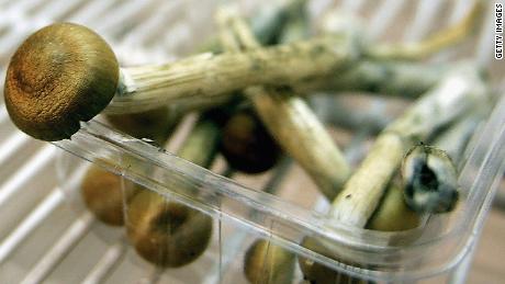 Magic mushroom' drug reduces anxiety and depression in cancer patients for five years - CNN