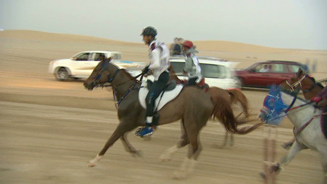 Endurance horse racing in the desert 