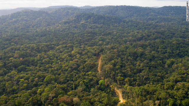 About 80 per cent of Gabon is covered by forests, sheltering a rich variety of wildlife.