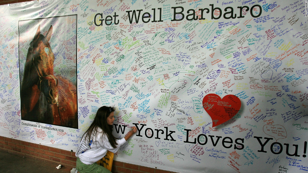 Hundreds of fans signed a giant &quot;Get Well&quot; card for Barbaro. Although efforts were made to save the colt&#39;s leg with pioneering surgery, he eventually had to be put down. 