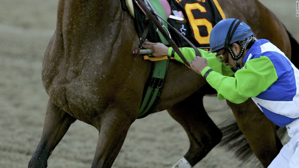 Hopes of a second-leg win in the Triple Crown were shattered after Barbaro broke early at the Preakness Stakes. He eventually started the race but misstepped early on and shattered his hind leg in more than 20 places.