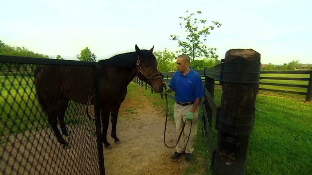 Breeding Kentucky Derby studs