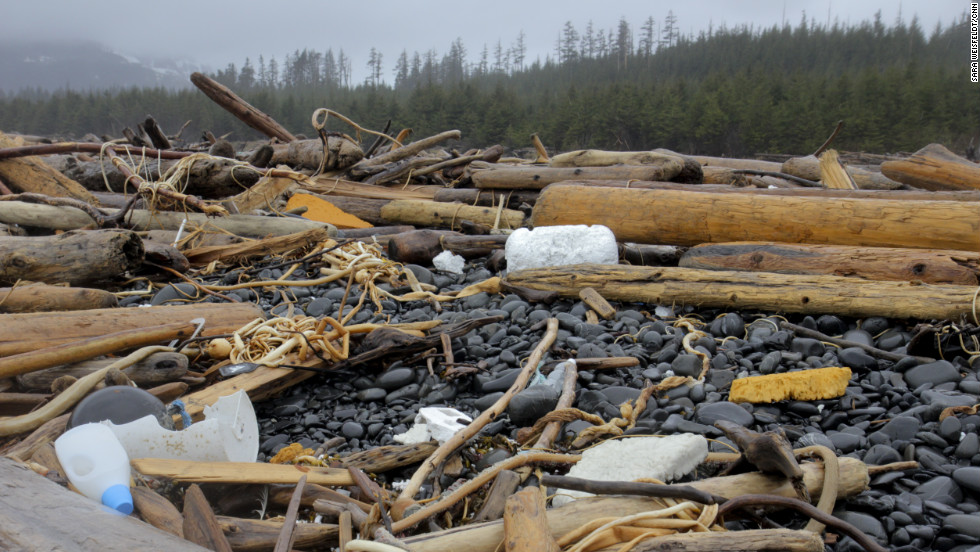 Flotsam From 2011 Japan Tsunami Reaches Alaska Cnn