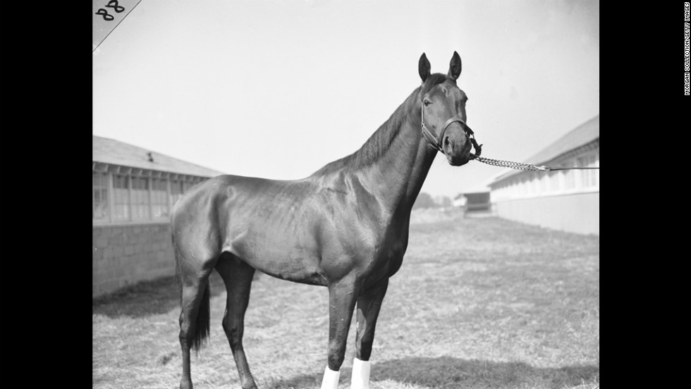Citation won the Triple Crown in 1948.