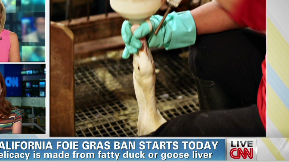 New York Foie Gras Ban Will Affect Restaurants And Grocery Stores Cnn