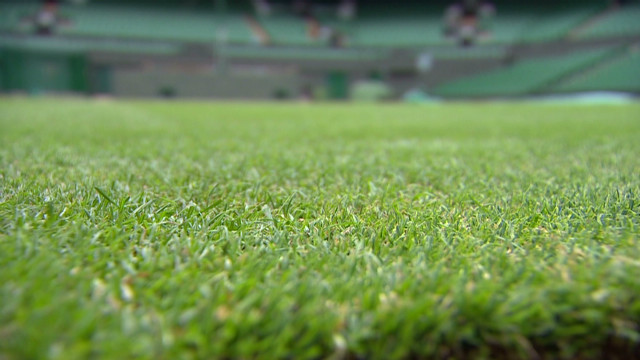 Grass Tennis Court