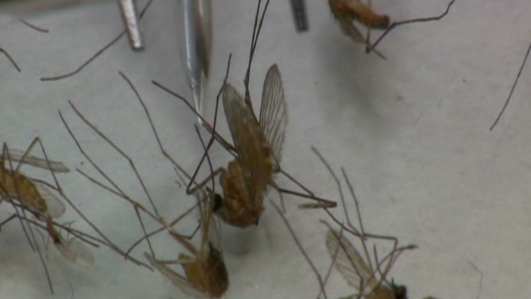 West Nile virus on the rise in the U.S., health officials say - CNN