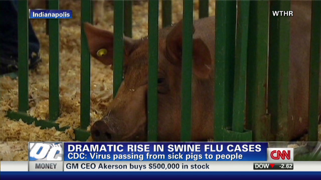 exp Cohen and swine flu cases in pigs_00001123