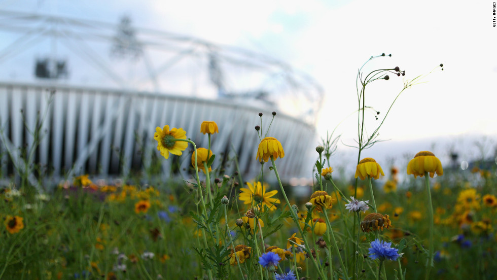 They provide an oasis of calm in the heart of the bustling Olympic Park, which has welcomed thousands of sports fans in recent weeks.