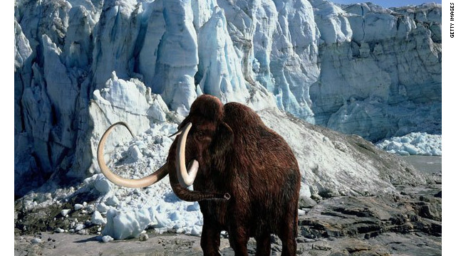 The Last Woolly Mammoth Died 4000 Years Ago On An Island In The Arctic