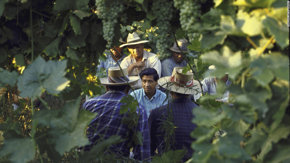 On behalf of his group, Chavez talks with grape pickers during a national boycott of California grapes in 1965.