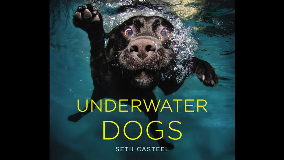 The cover dog, a black Labrador named Duchess, has the same name as photographer Seth Casteel&#39;s childhood pet.