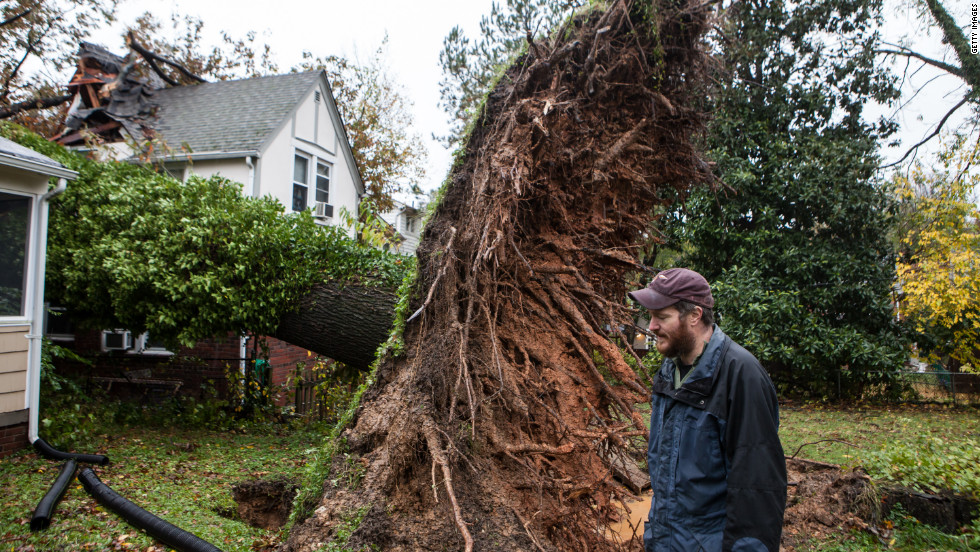 Sam Rigby walks on Tuesday near an uprooted tree that grazed his house and hit his neighbor&#39;s house in Washington.