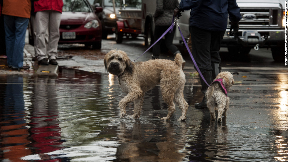Dog owners in Alexandria, Virginia, gathered to see the flood waters left by Hurricane Sandy on Tuesday.