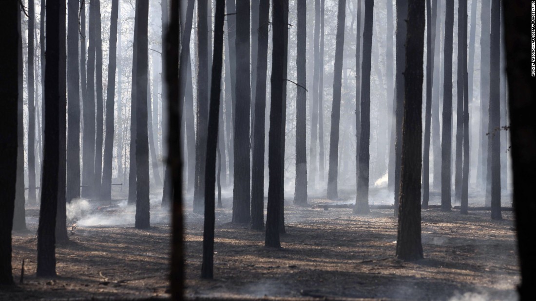 Forest fires engulfed more than 110,000 hectares across Russia during the summer of 2010. Here, a stand of charred birch and evergreen trees is filled with drifting smoke on the outskirts of the city of Voronezh. 