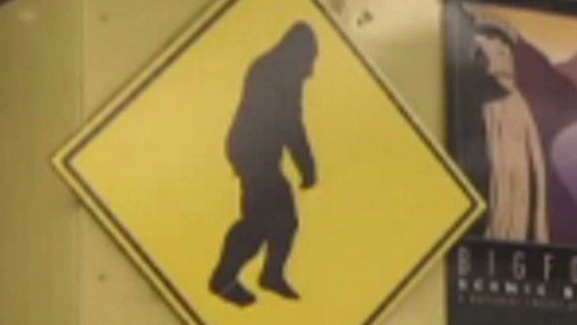 Dna Evidence Proves Bigfoot Is Real Cnn Video 