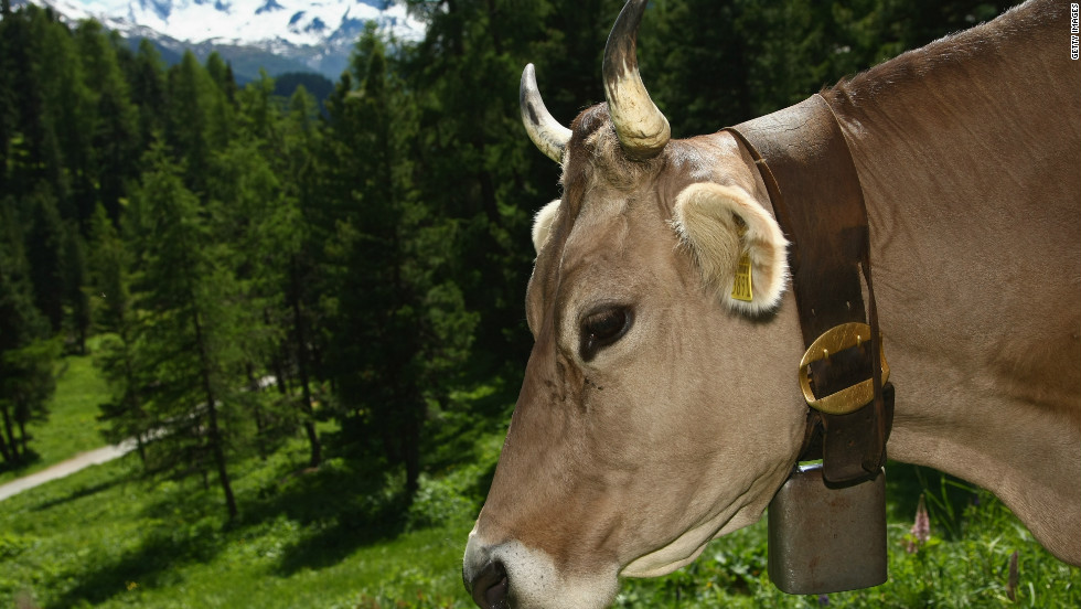 Bells have been used, especially in downhill skiing, for a long time. It started in Switzerland, where in summer the cows all walk around the mountains with bells on.