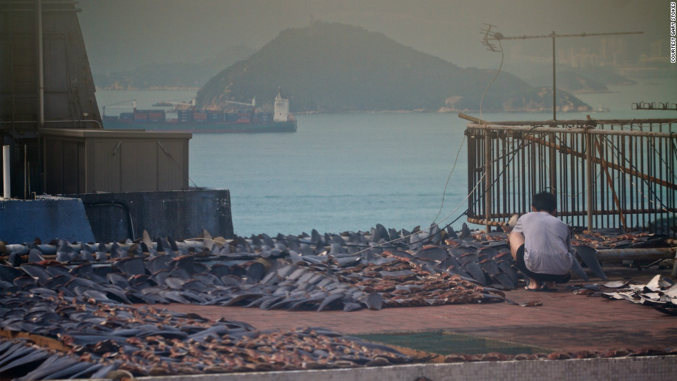 Workers lay out and turn the fins. Stokes told CNN that the workers were &quot;shocked&quot; when the photographers walked out onto the roof on January 1.