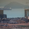 Hong Kong roof shark fins