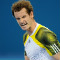 Tennis Andy Murray Brisbane