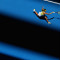 01 australian open 0119