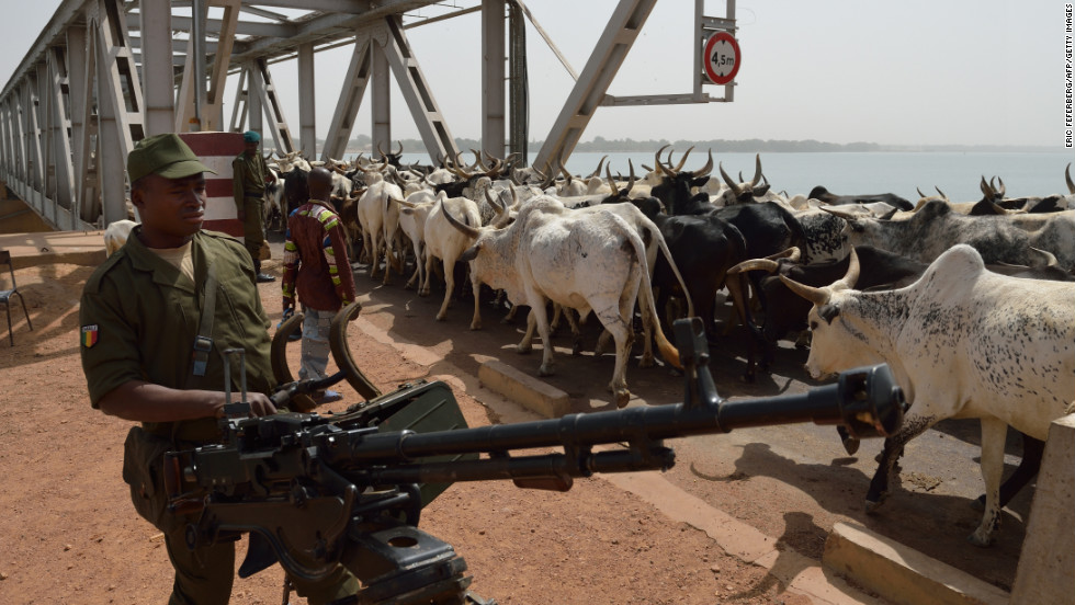 A Malian soldier armed with a machine gun watches a herd of cattle crossing a bridge over the Niger River on January 24. Mali&#39;s military offensive against militants controlling the northern half of the country has gathered pace in the past two weeks, with backing from France and other international allies.