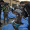 U.N. Syria Envoy: 'I Am Not A Quitter' - CNN