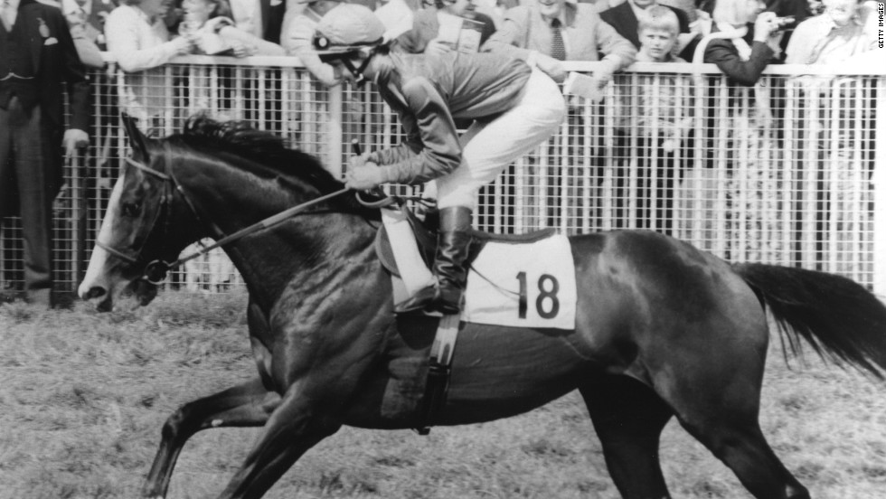 Of his eight races, Shergar won six, earning £436,000 ($688,000) in prize money. As a breeding stallion he was valued at a staggering £10 million ($16 million).