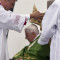 12 pope benedict ud