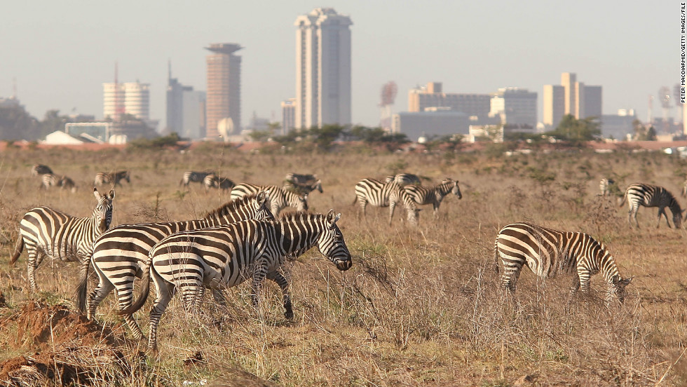 Nairobi is the world&#39;s only capital city with a national park, where wildlife roams free against the urban backdrop of skyscrapers.