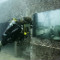 underwater photo gallery divers 2