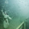 underwater photo gallery image 8