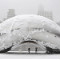 chicago snow