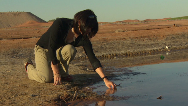 &#39;Desert lake&#39;: An ecological disaster?