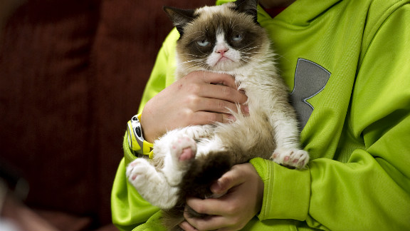 The Unlikely Star Of Sxsw Grumpy Cat Cnn 