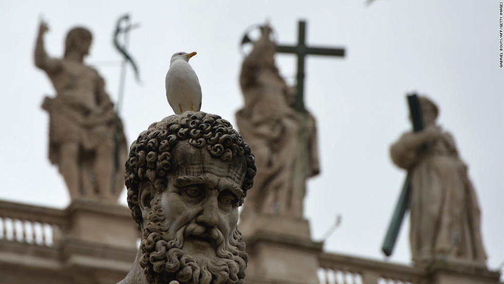 A seagull perches on a statue in St. Peter&#39;s Square on March 13.