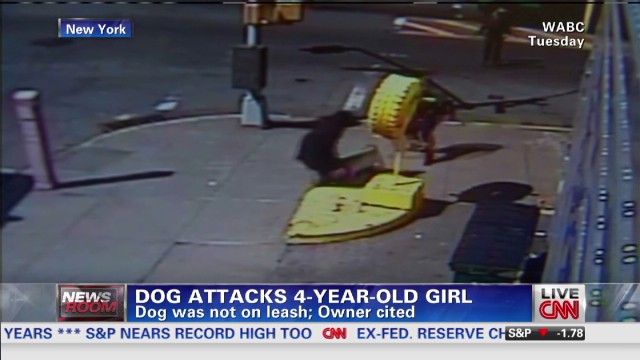 Dog attacks 4-year-old girl