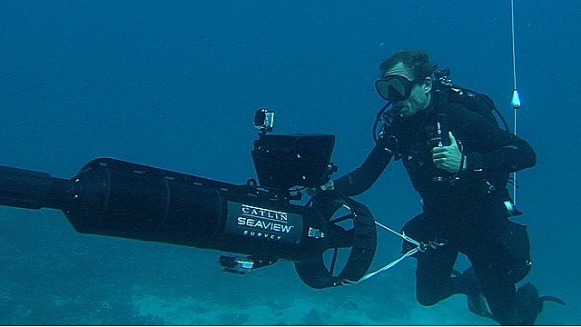 'Game-changing' cameras capture beauty and fragility of reef life. - CNN