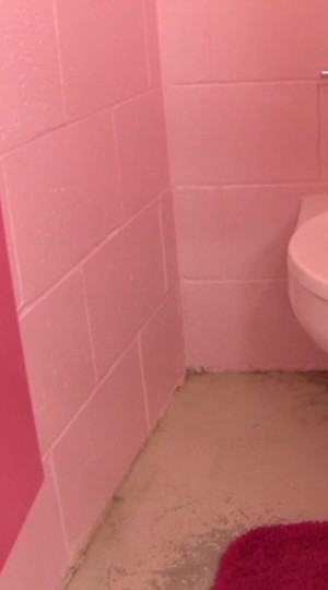 Visitors Locker Room Painted Pink Owners Of A Minor League
